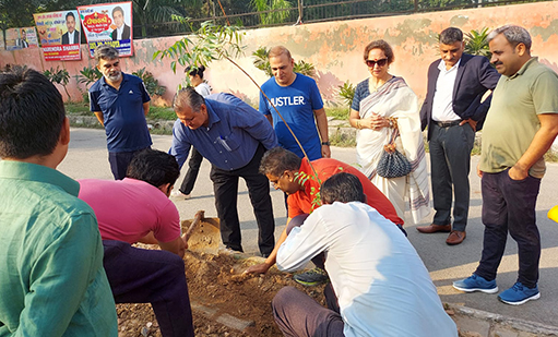 tree-plantation