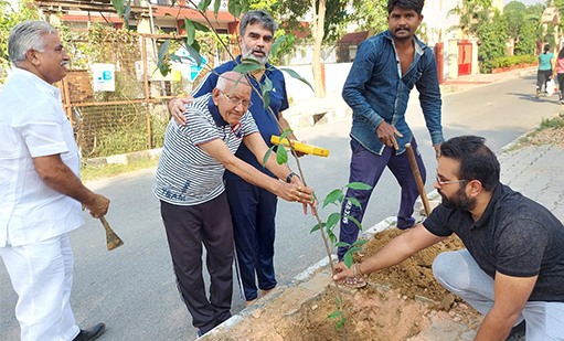 tree-plantation