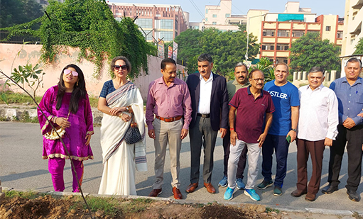tree-plantation