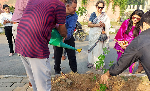 tree-plantation