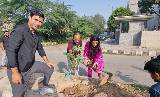 tree-plantation
