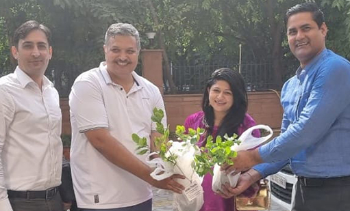 tree-plantation