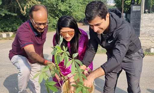 tree-plantation